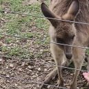 동부농장 이미지