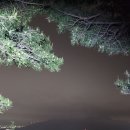 다드림안경원 이미지