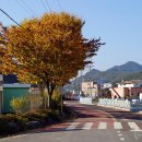 상정리 마을회관 Daum카페