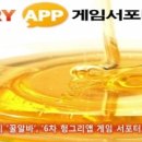 금일돈 이미지