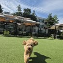 아룸뷰티 이미지