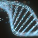 READ n PLAY(For Book Quiz) 이미지