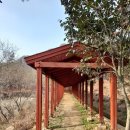 도암천 | 산행후기_mr.j 11 강진 백련사 1