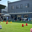 헬로우버디 | 헬로우버디 애견유치원 운동회 후기｜판교 강아지 유치원