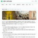 호랑이 | 리움미술관 전시 : 까치 호랑이 후기 🐅 🐦‍⬛관람료 무료!