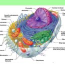 수피부과의원 이미지