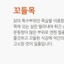 페리카나치킨나라