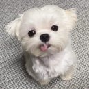 경춘로1286번길1R | 갑뿐 겨울이 왔어요 여름내놔