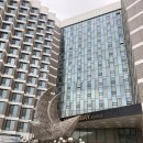 피자베이 수영점 | 김포 마리나베이 호텔 후기, 수영장 있는 가성비 주말 호캉스