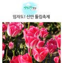 2018년 4월14일 토요일 # 임자도 튤립 꽃 축제 # 산행안내 이미지