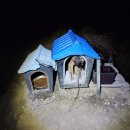 김성문농장 이미지