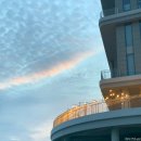 성일농원 | 거제도 2박3일, 아이와 함께한 가족여행 기록남기기"