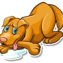 파크동물의료센터 이미지