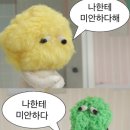 스파고기 이미지