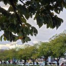 쪽샘주차장 화장실 이미지