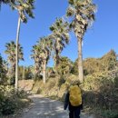 강정누림 이미지