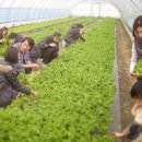 협업농장 이미지