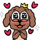 홍익메디케어 이미지