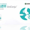 베스트 프렌즈 동물병원 이미지