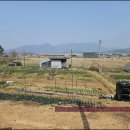 덕촌농장 이미지