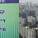 강남-298 이미지