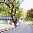 신원사 버스정류장 이미지