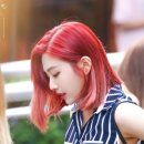 빨간머리 미용실 이미지