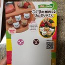 유치원 도시락통 고르기 팁 &amp; 도시락 꾸미는 용품 추천 (내돈내산)
