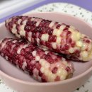 곡성곶감 영농조합법인 | 곡성 미니찰옥수수 찐옥수수 냉동보관 전자레인지로 맛있게 찌는 9월 제철음식