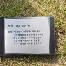 다온숲 티스토리
