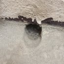 광림종합특장A/S | 아산방수업체 둔포옥상방수 극한호우 피가 120mm가 내린다해도 저흰 10년 무상하자보증으로 막아드릴 수...