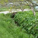 대산농장 이미지