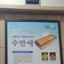 나눔명품한의원 이미지