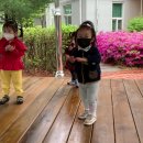 상어경로당 이미지