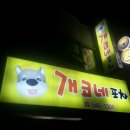 개코포차 Daum카페
