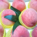 율곡농장 이미지