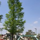 문암생태공원(바베큐장) 이미지