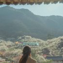 네비마켓 광양점 | [공지] 광양 매화축제 실시간(3/13) 개화율 포토존, 입장료 주차장 평일 주말 셔틀버스까지!