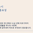 법무법인새강