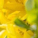 불광한의원 이미지