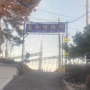 숲속쌍화차