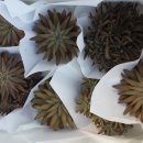 서마루농장 이미지