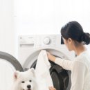 펫 패밀리 이미지