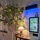 도시숲(석남녹지도시숲) | [인천 서구] 석남역카페: 크롬 / 디저트맛집 석남녹지도시숲카페 서구애견동반카페