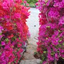 계곡힐링스카이 | [정선펜션 추천] 구미정계곡펜션 하늘나리펜션에서 즐기는 정선단체펜션 힐링 여행!