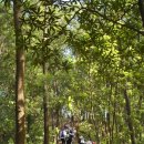 송영태 | 심천산악회 2011년 08월 13일 탕랑산 산행후기 및 사진