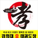 경희대 현대 효 태권도장 이미지