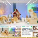 골드 캐터리 이미지
