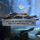 김밥천국성산점