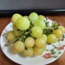 혜진네포도원 이미지